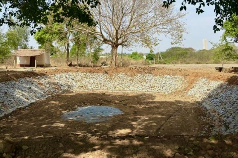 A Kunte, a small, shallow reservoir for animals in a Bengluru suburb.