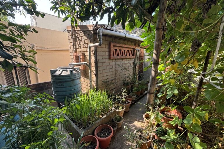 A Rainwater barrel sustains a garden in all weather conditions in Bengluru.