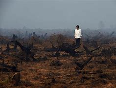 Biggest Climate Misery Unfolded in Indonesia