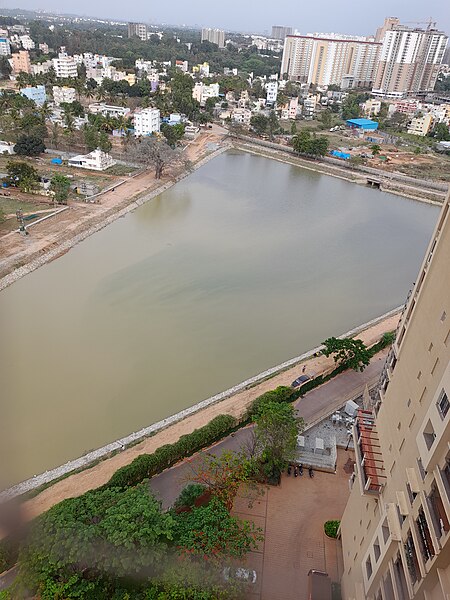 Revival of urban pond in Bengluru collecting treated sewage water from the vicinity