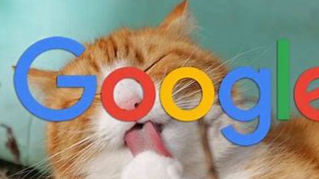 Google reply About Cats