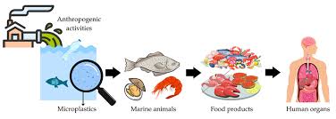 Anthropogenic Activity