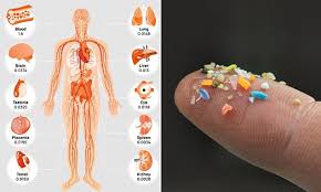 Microplastics in human body